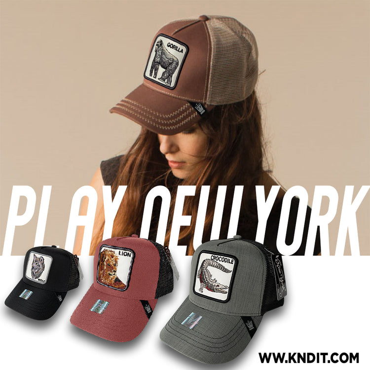Play New York
