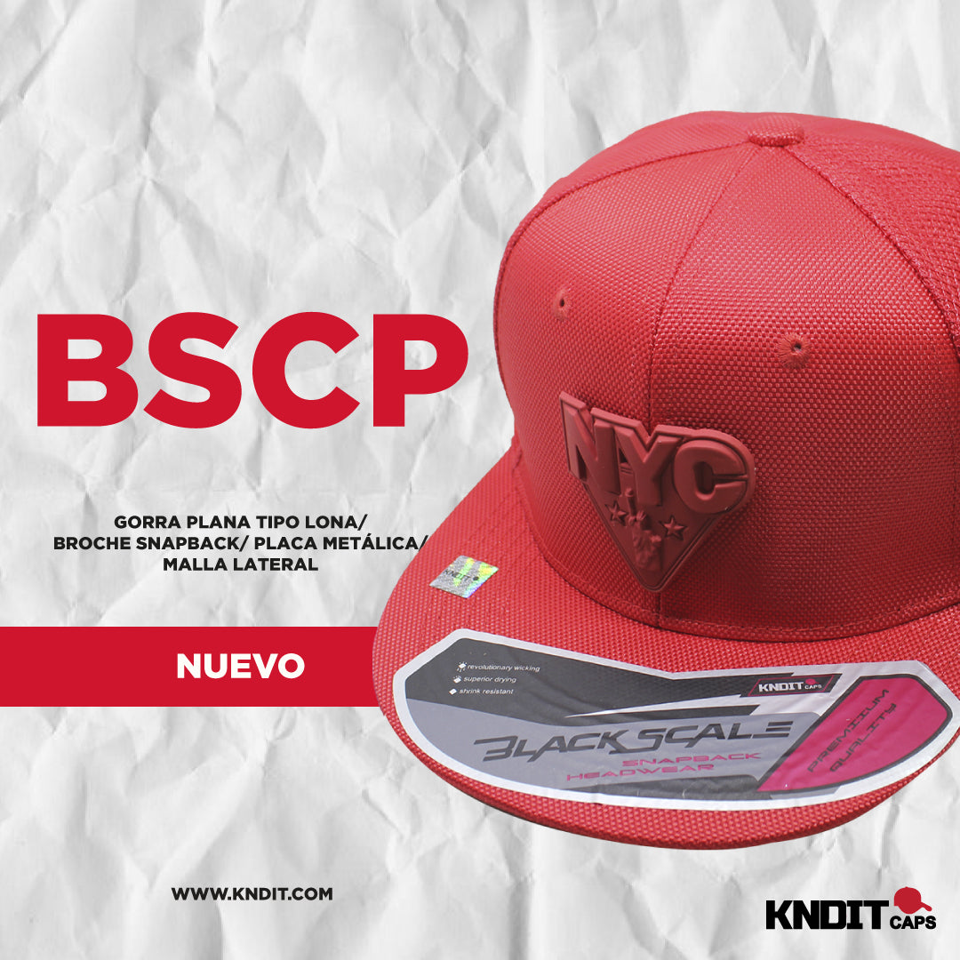 Gorra " BSCP 2251301" Placa de metal.
