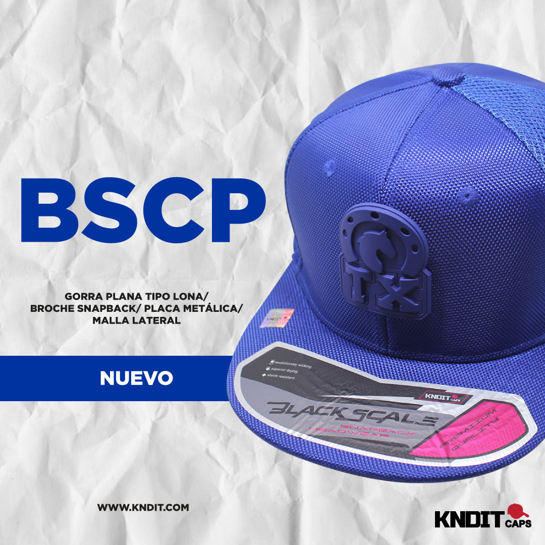 Gorra " BSCP 2161605" Placa de metal.