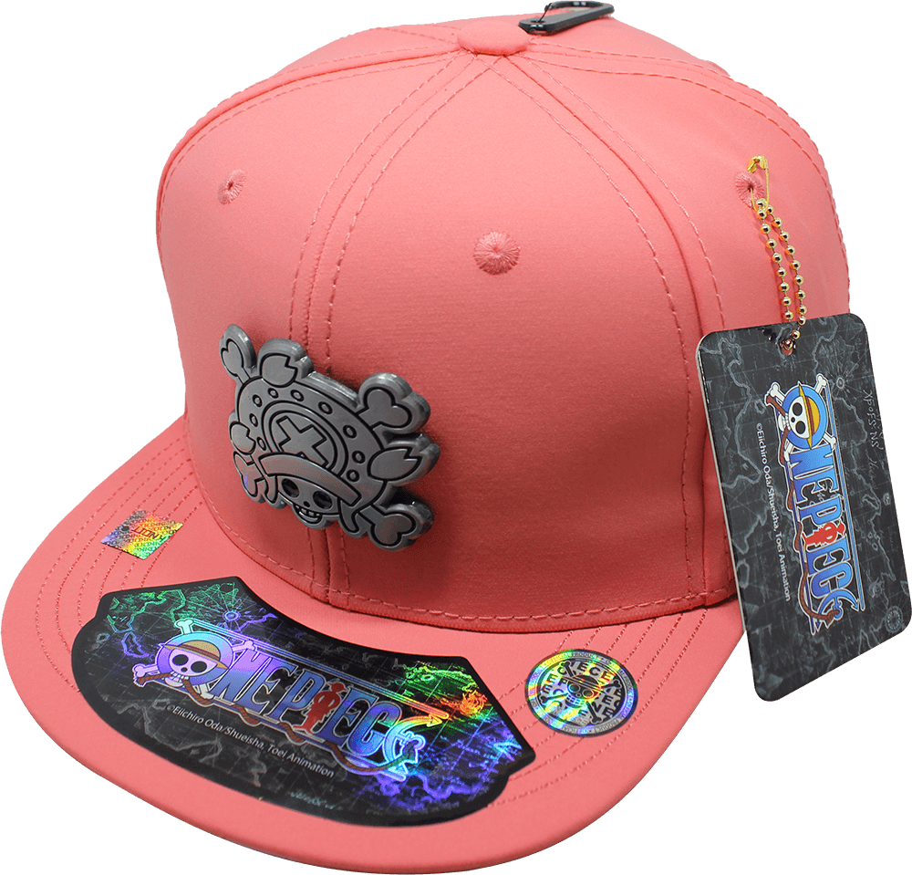 Gorra niño "ONE PIECE" Chopper Placa Metálica Aluminio Cepillado 17