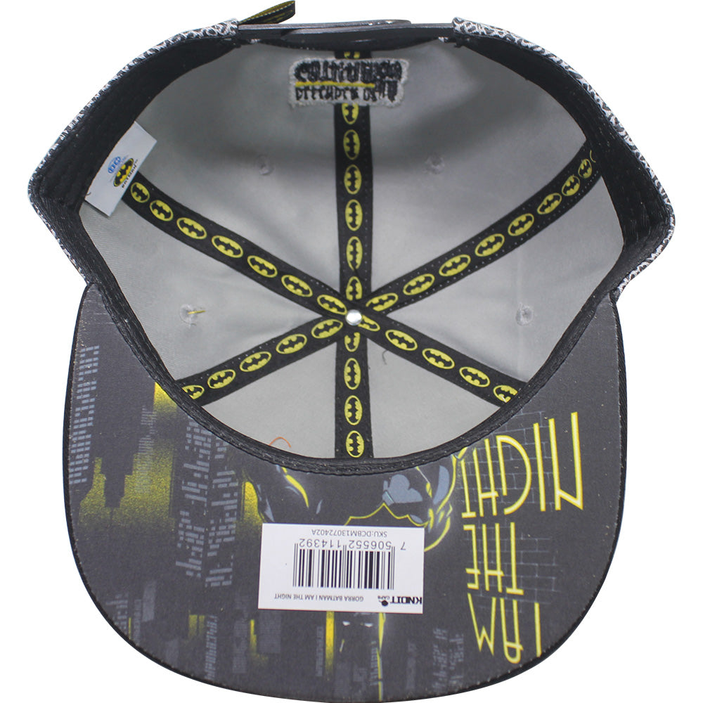 gorra DCCOMICS PLANA BATMAN 02