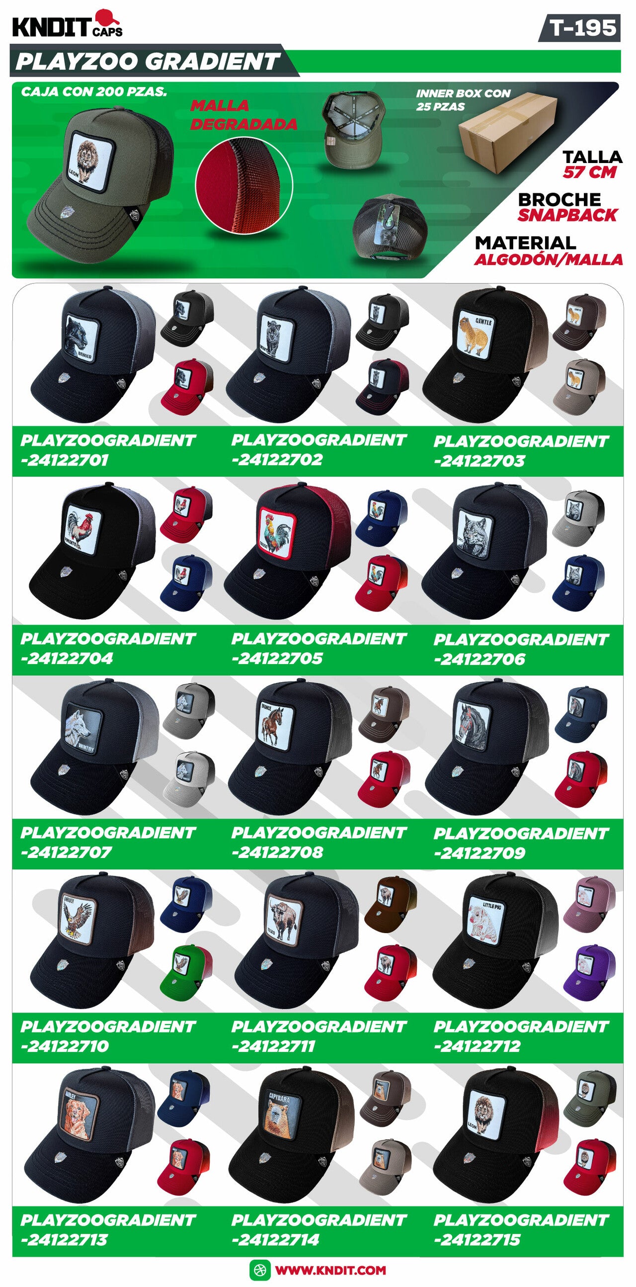 N1004-PLAYZOO-GRADIENT