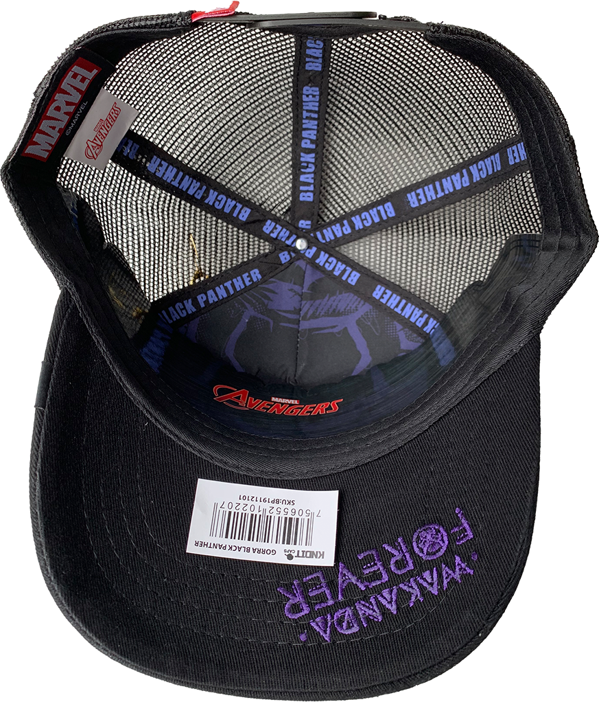Gorra Marvel Comics Mesh BP19112101