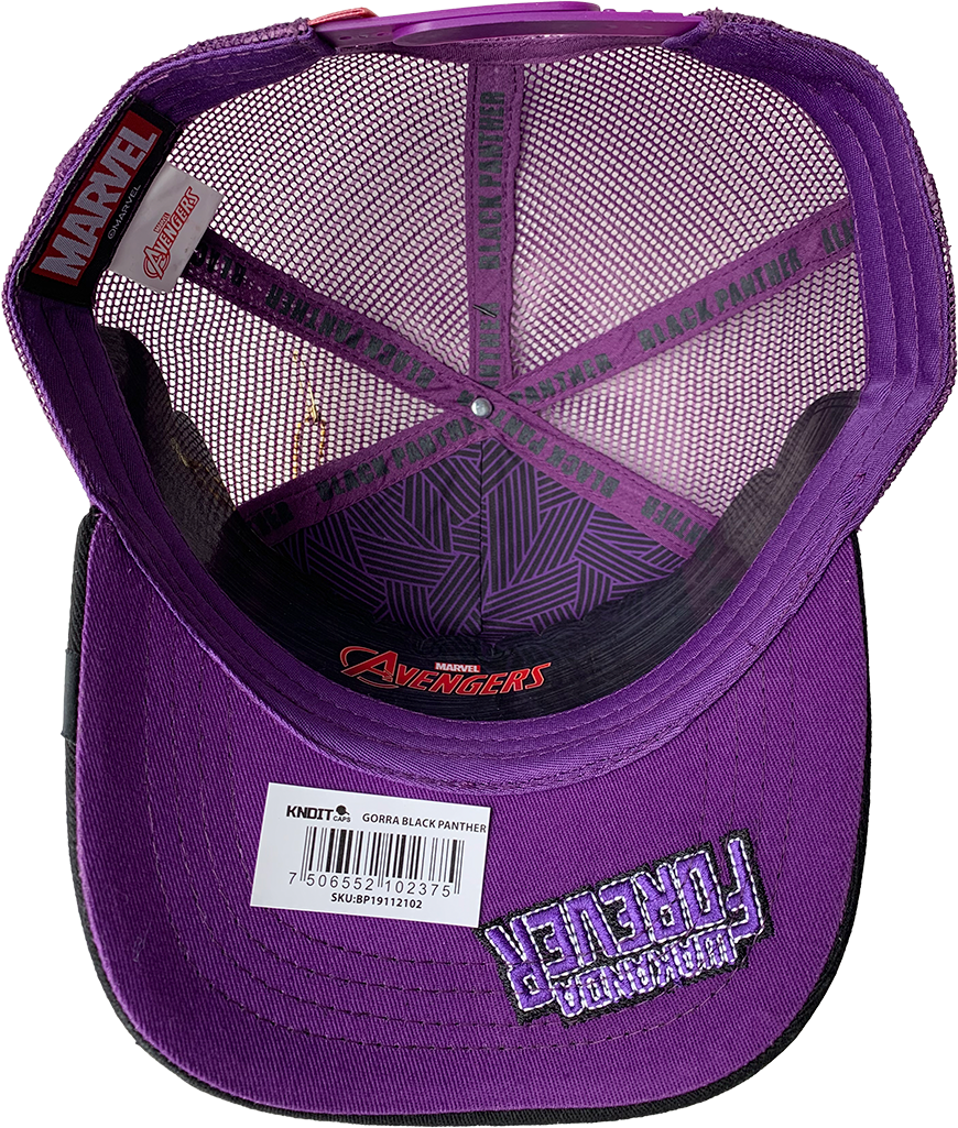 Gorra Marvel Comics Mesh BP19112102