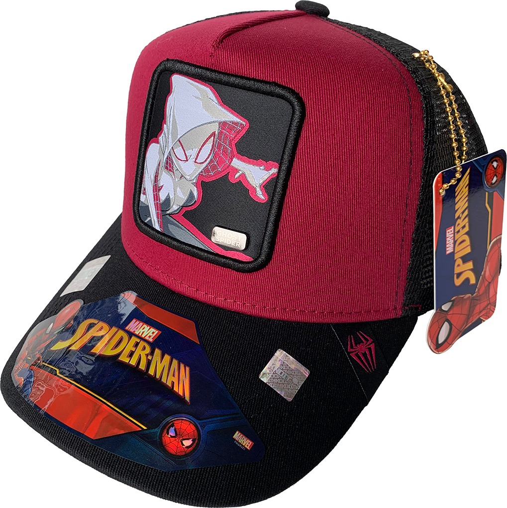 Gorra Marvel Comics Mesh GH19112101