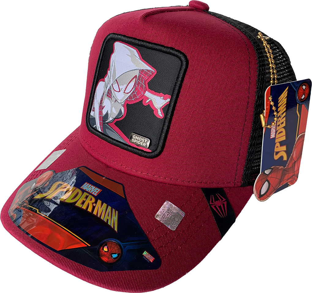 Gorra Marvel Comics Mesh GH19112101