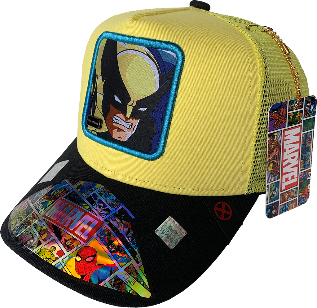Gorra Marvel Comics Mesh WO19112101