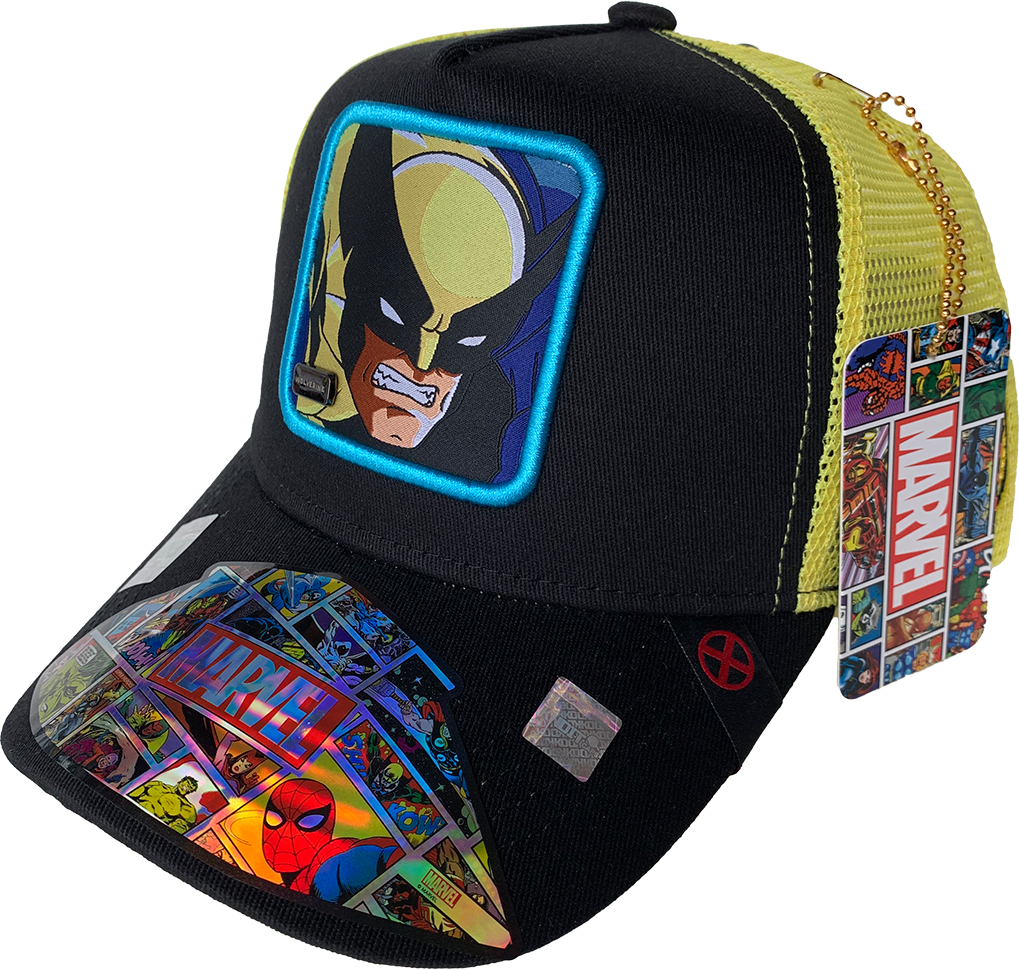 Gorra Marvel Comics Mesh WO19112101