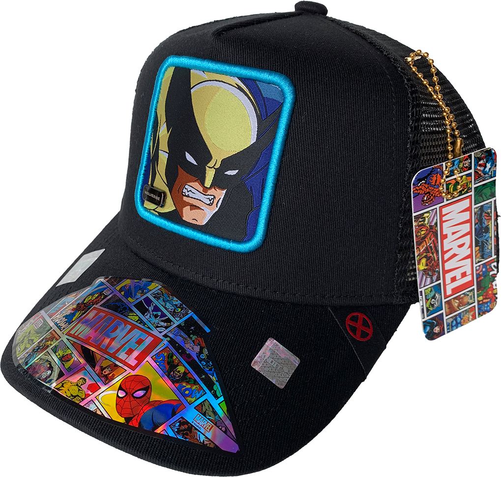 Gorra Marvel Comics Mesh WO19112101