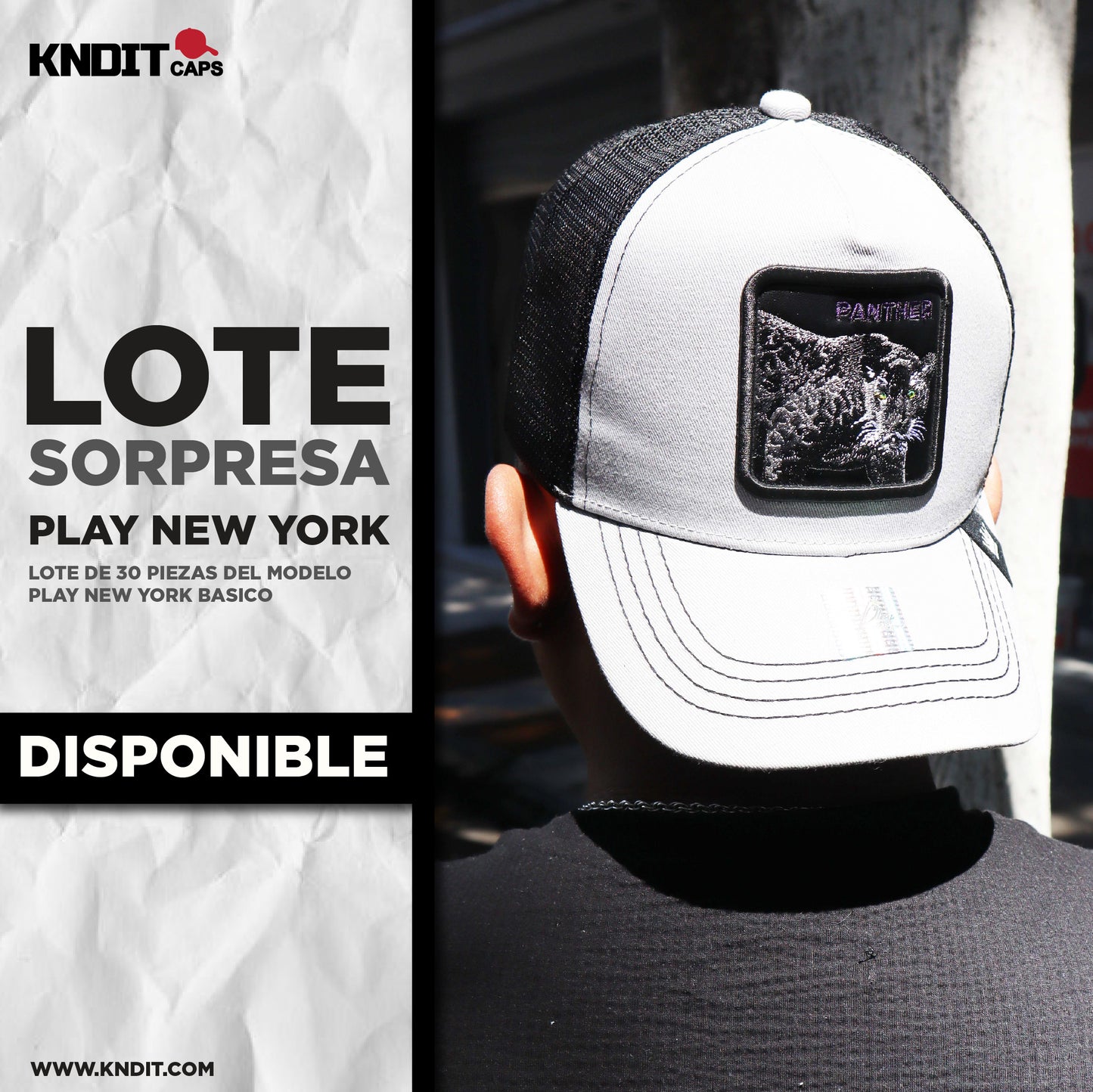 Gorra Animales PLAY NEW YORK ( LOTE SORPRESA 30 PIEZAS )