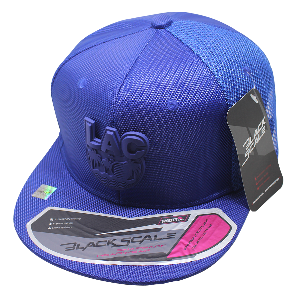 Gorra " BSCP 2161602" Placa de metal.
