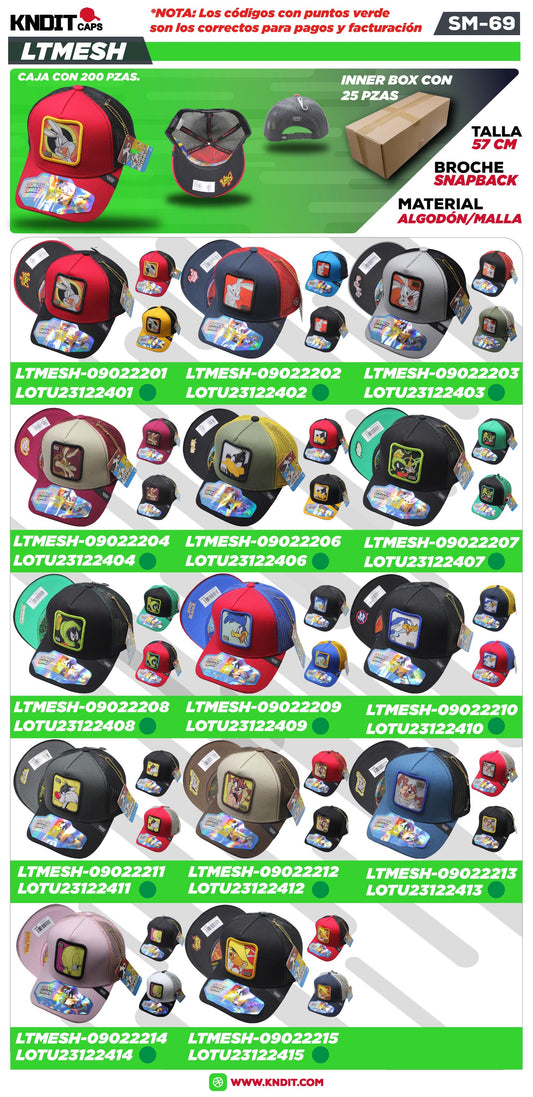 CH-874-LTMESH-REFERENCIAS