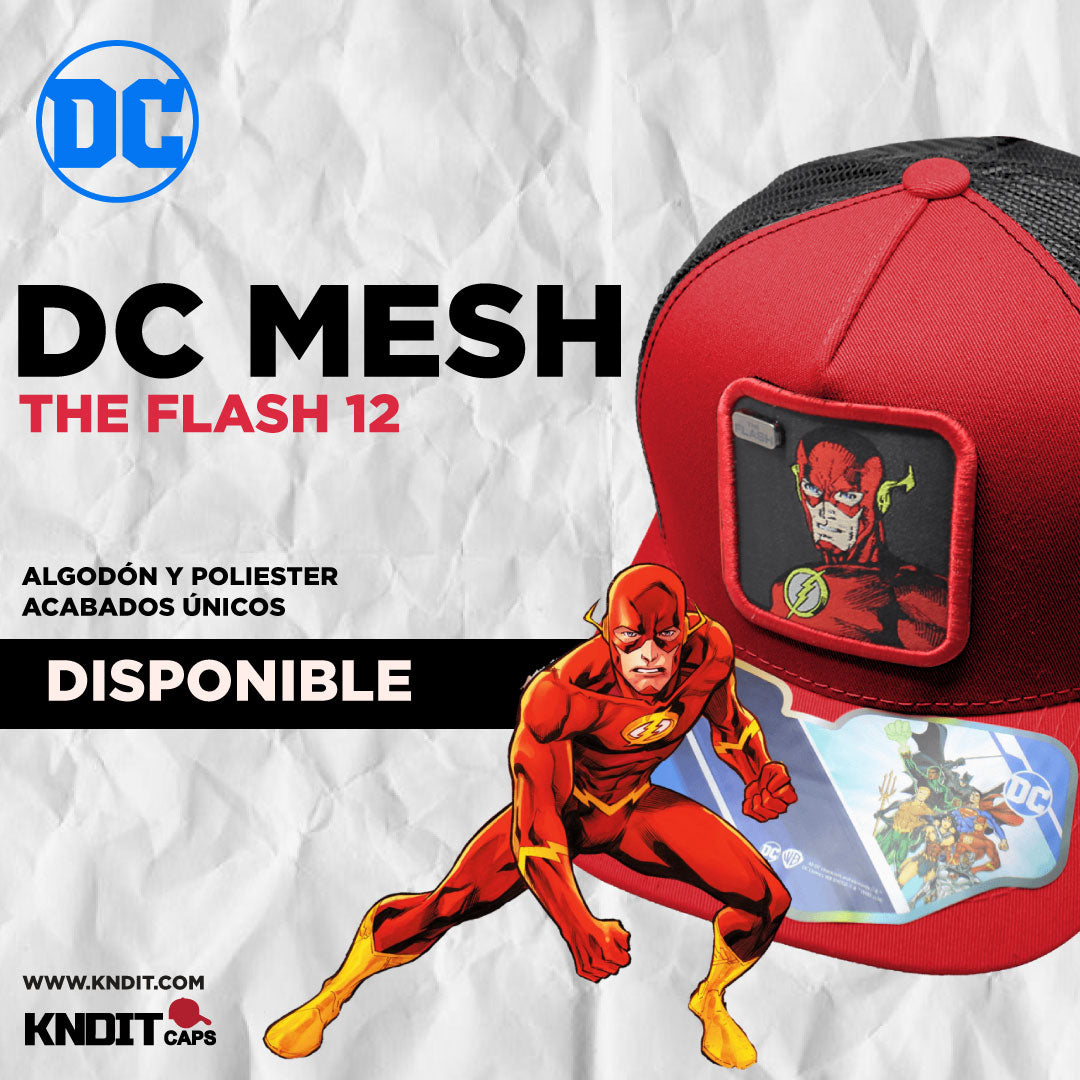 Gorra Trucker The Flash by Dc comics Warner Bros 12