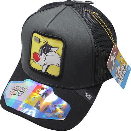 Gorra Trucker sylvester  11
