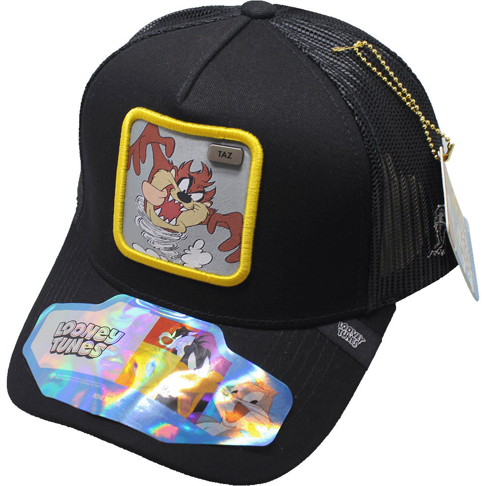 Gorra Trucker taz 13