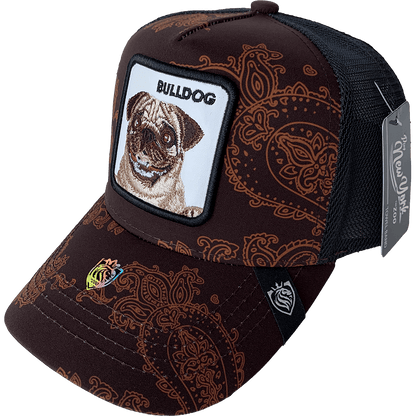Gorra Animales Trucker "PNY ZOO" BULLDOG 414