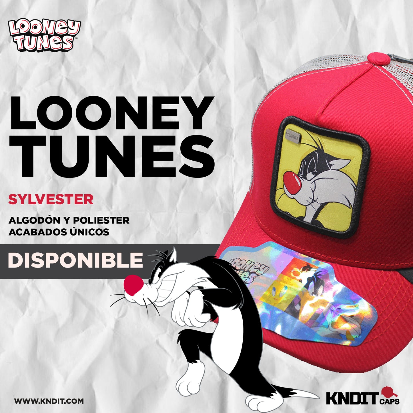 Gorra Trucker sylvester  11