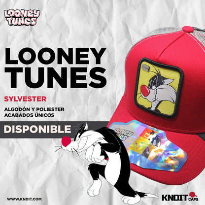 Gorra Trucker sylvester  11