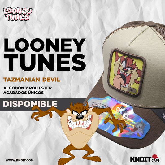 Gorra Trucker taz  12