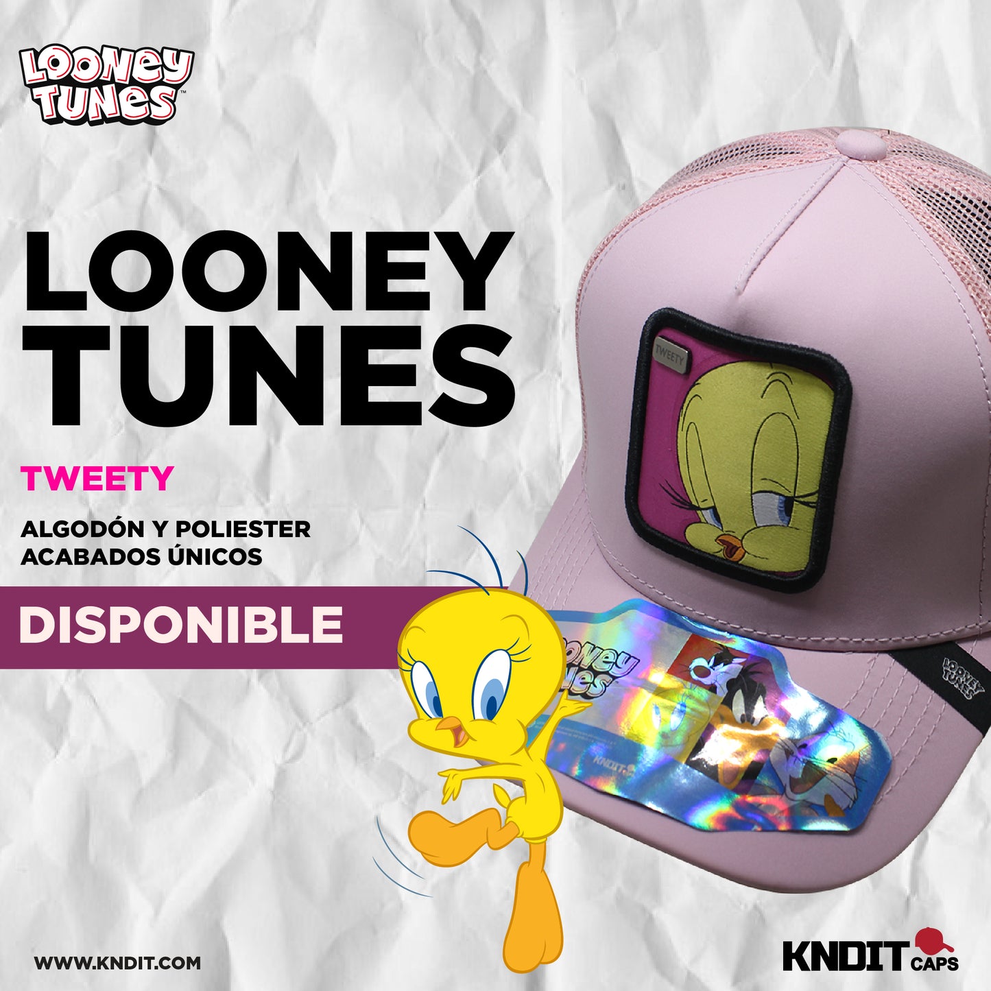 Gorra Trucker tweety 14