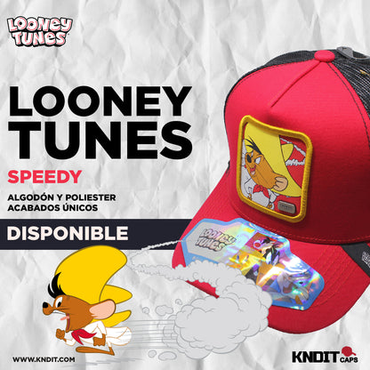 Gorra Trucker speedy 15
