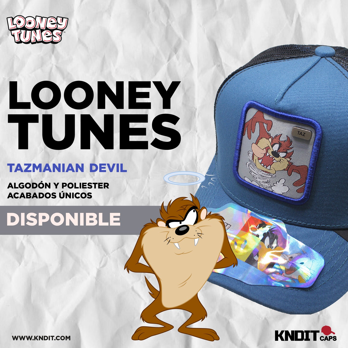 Gorra Trucker taz 13