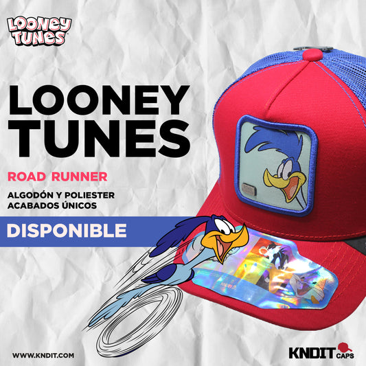Gorra Trucker Road Runner 09