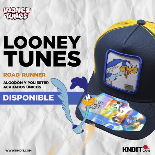 Gorra Trucker Road Runner 10
